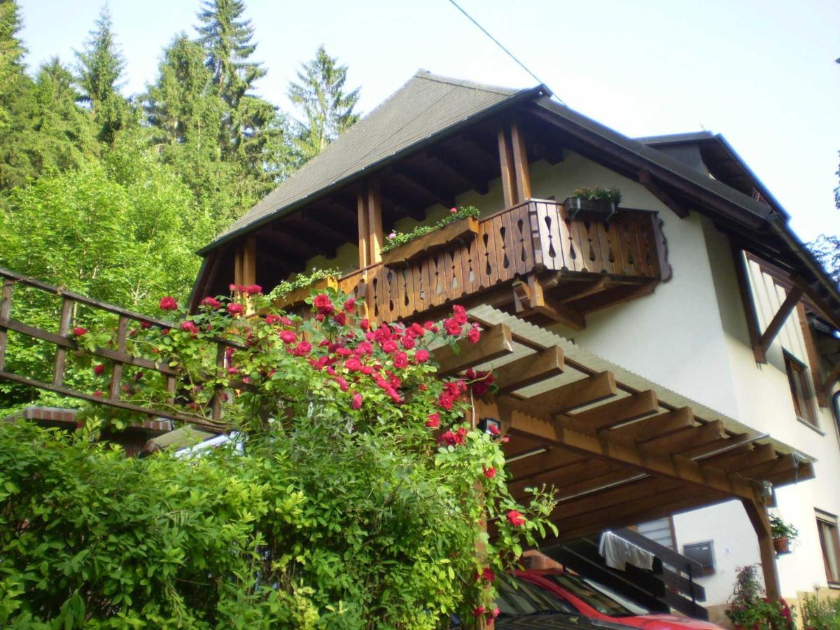 Apartment Haus Am Bach Freiburg im Breisgau